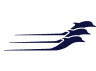Hellenic Seaways logo