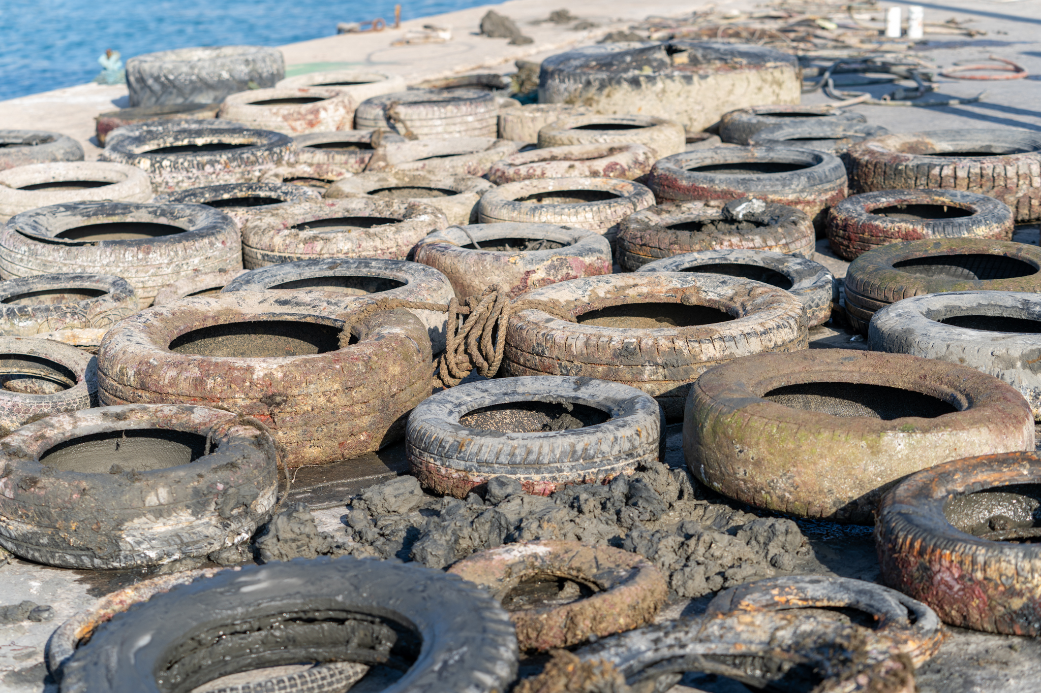 Καθαρισμος-Λιμανιου-3-(1).jpg Καθαρισμος-Λιμανιου-3-(1).jpg